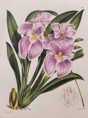 Работа от Nataliya  Kopchenova