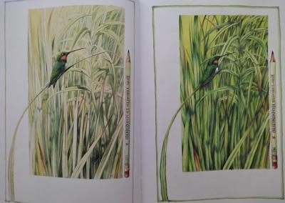 Работа от Nataliya  Kopchenova