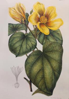 Работа от Nataliya  Kopchenova