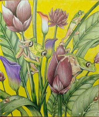 Квакши от Calico