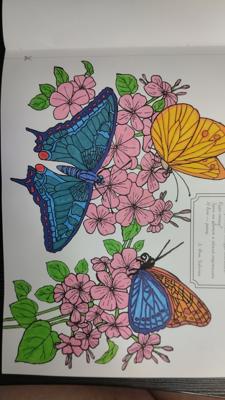 Работа от Роман