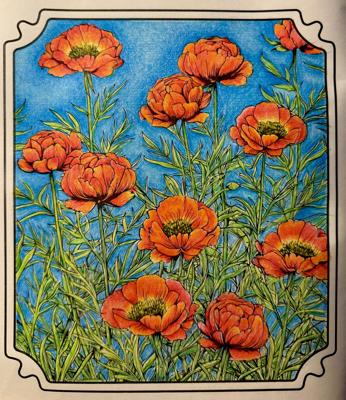 Работа от Elysa