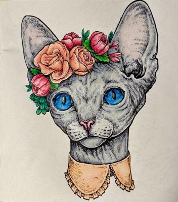 Модница от Elysa SunTabby