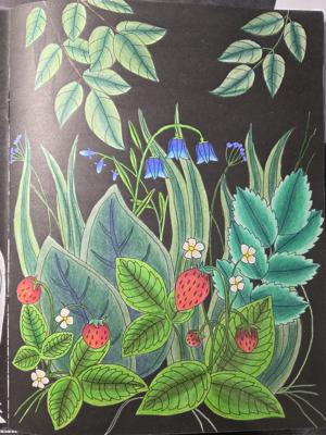 Работа от Александра К.