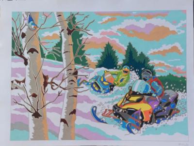 Снежные гонки от Julia White