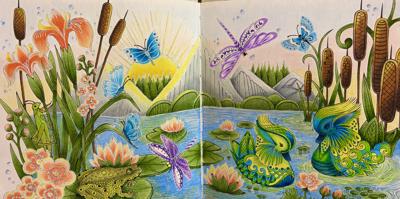 Работа от ROAcoloring