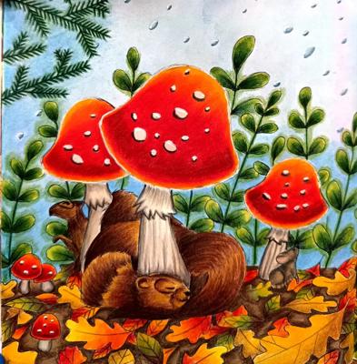 Работа от ROAcoloring