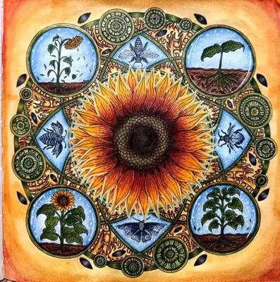 Работа от ROAcoloring