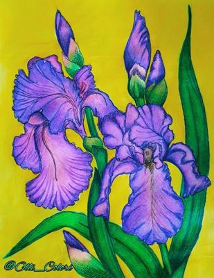 Ирисы от OlliColori