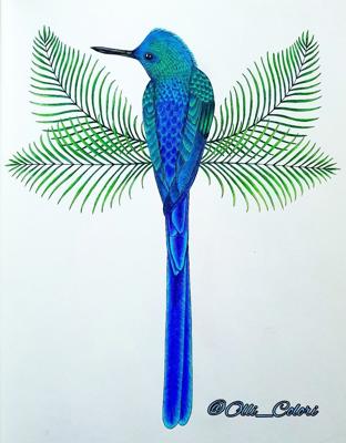 Длиннохвостый сильф от OlliColori