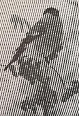 Работа от ColorFun