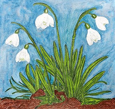 Работа от ColorFun