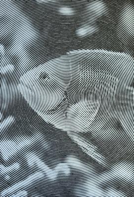 Рыбка от ColorFun