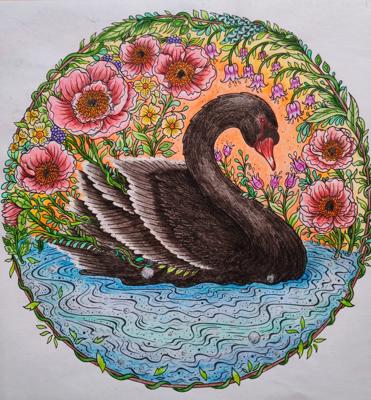 Работа от Lana hobby