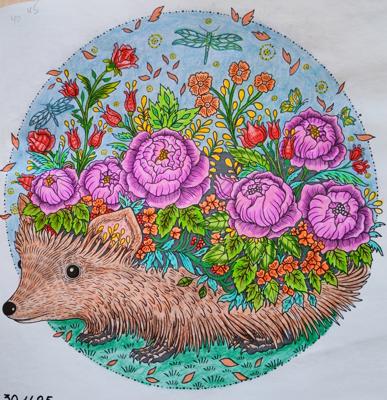 Работа от Lana hobby