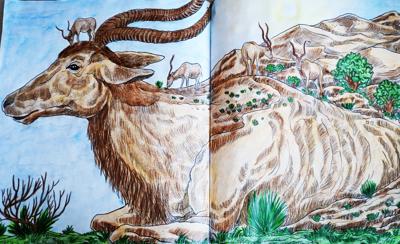 Работа от Lana hobby