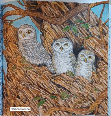 Работа от Tetiana