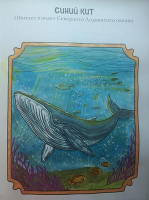 Синий кит от MarikaArika