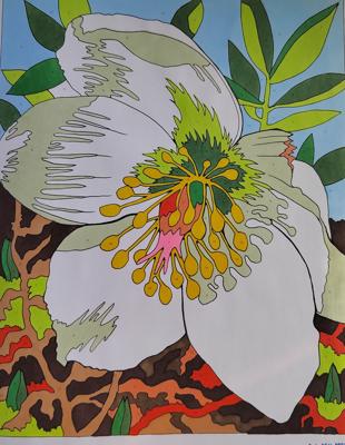 Работа от Алекса