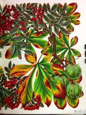 Работа от Наташа