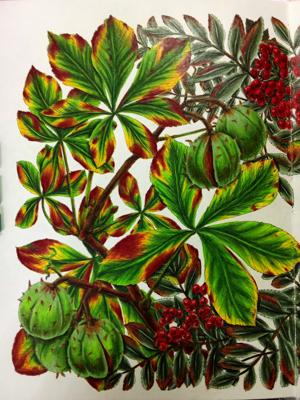 Работа от Наташа