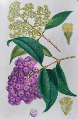 Работа от Лилия Понкратова