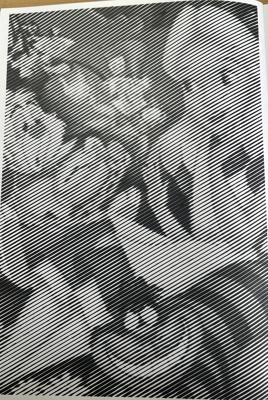 Работа от _Dasha_