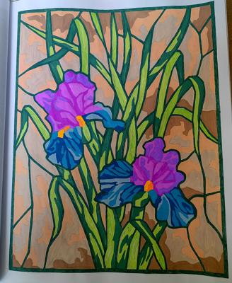 Работа от Гала