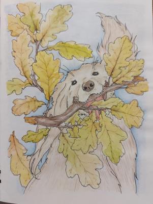 Работа от ElenaBas