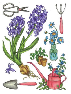 Работа от dashook