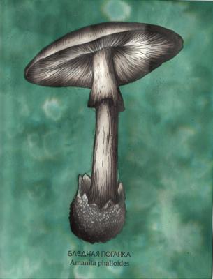 Работа от dashook