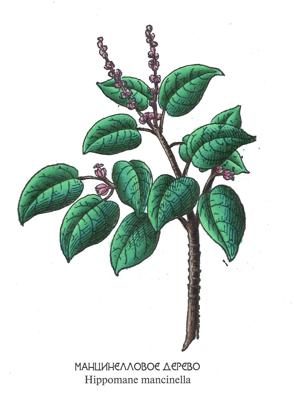 Работа от dashook