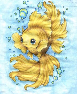 Работа от dashook