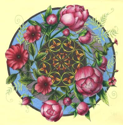 Работа от dashook