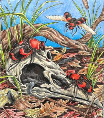 Работа от Denushka