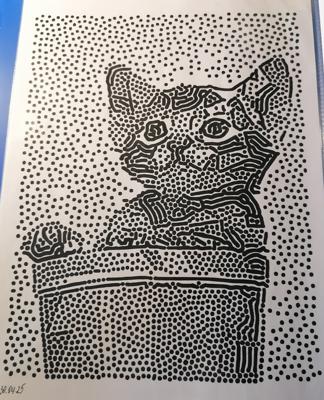 Работа от миечка