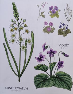 Работа от Alifira