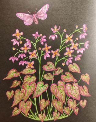 Работа от Alifira