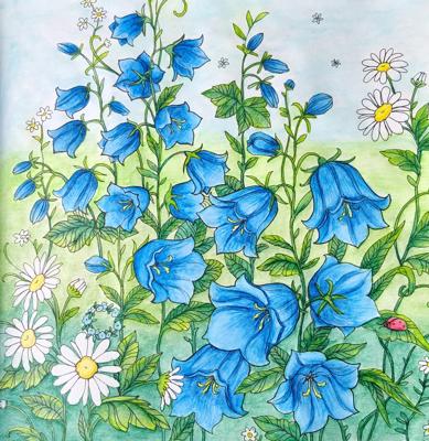 Работа от Alifira