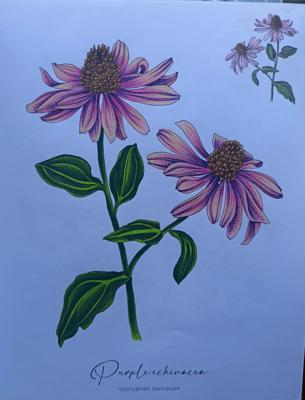 Работа от Alifira