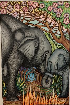 Слоны от Alifira