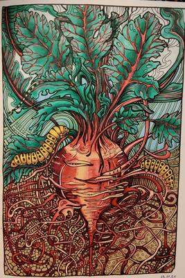 Гусеницы от Alifira