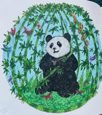 Работа от Amanda Sky