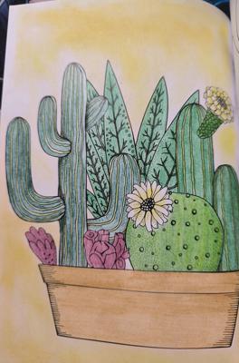 Кактус от VikaS