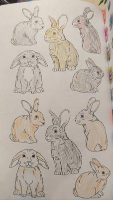 Зайчики от VikaS