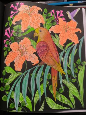 Попугай от VikaS