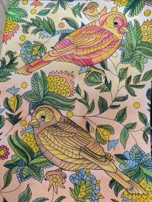 Пара птиц от VikaS