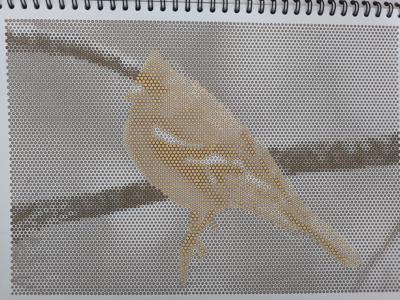 Птичка на дереве от VikaS