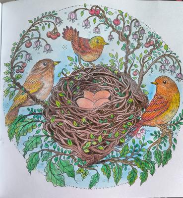 Гнездо и птички от VikaS