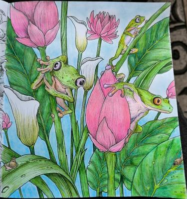 Лягушки от VikaS